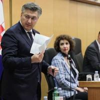 Zastupnici manjina: Više od jednog zastupnika će dati Plenkoviću glas za mandatara, SDSS neće